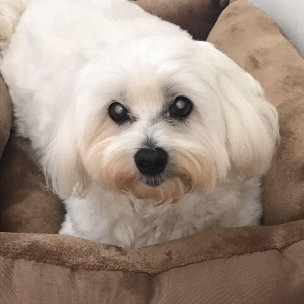 Meet your Posher, Camille